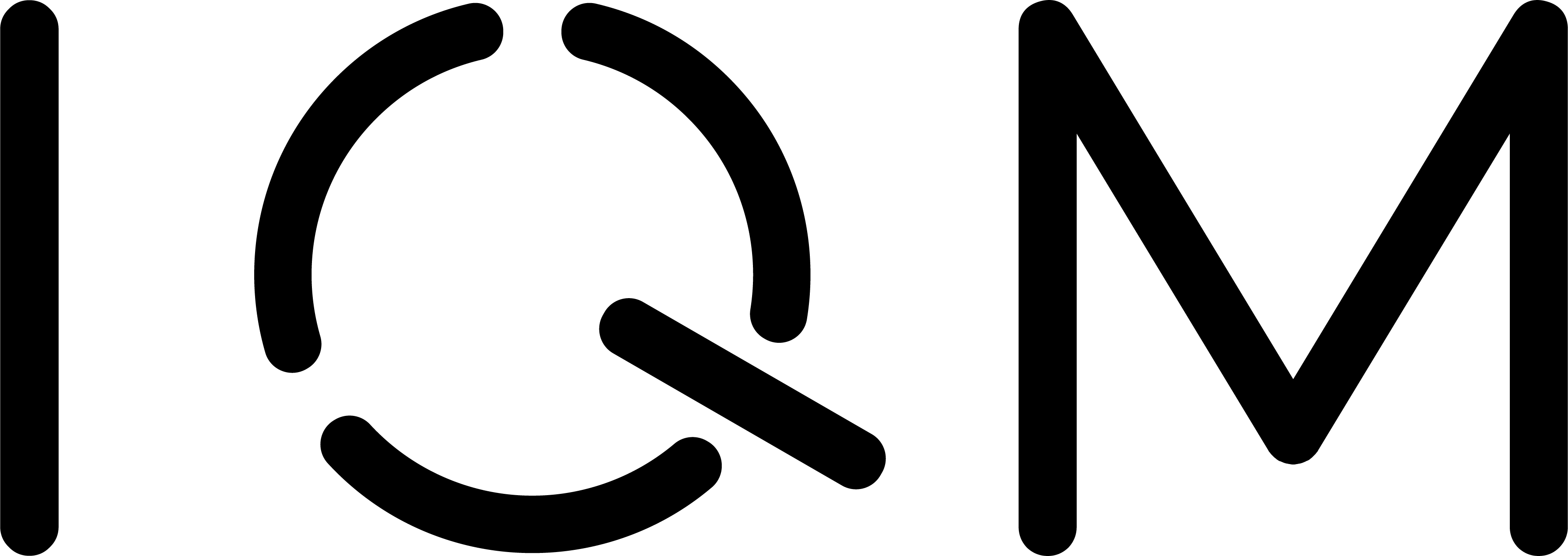 IQM Logo